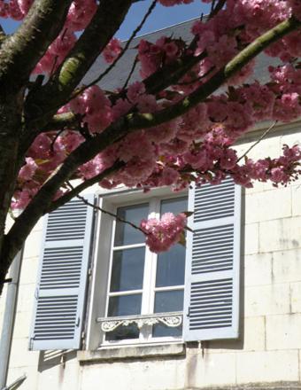 La Closerie Saint Jacques 洛什 外观 照片